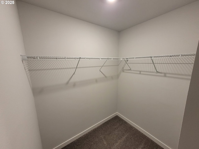 spacious closet featuring dark colored carpet