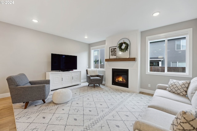 living room featuring a fireplace and light wood-type flooring