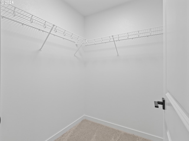 walk in closet with carpet flooring