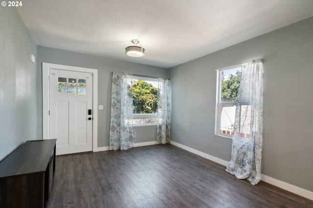 foyer featuring dark wood-style flooring, a healthy amount of sunlight, and baseboards