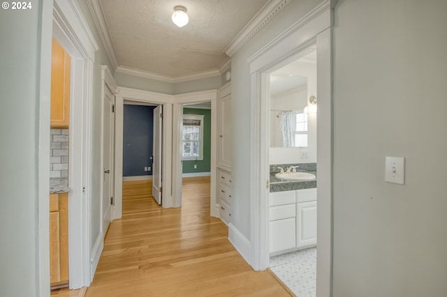 hall featuring a textured ceiling, light hardwood / wood-style floors, sink, and crown molding