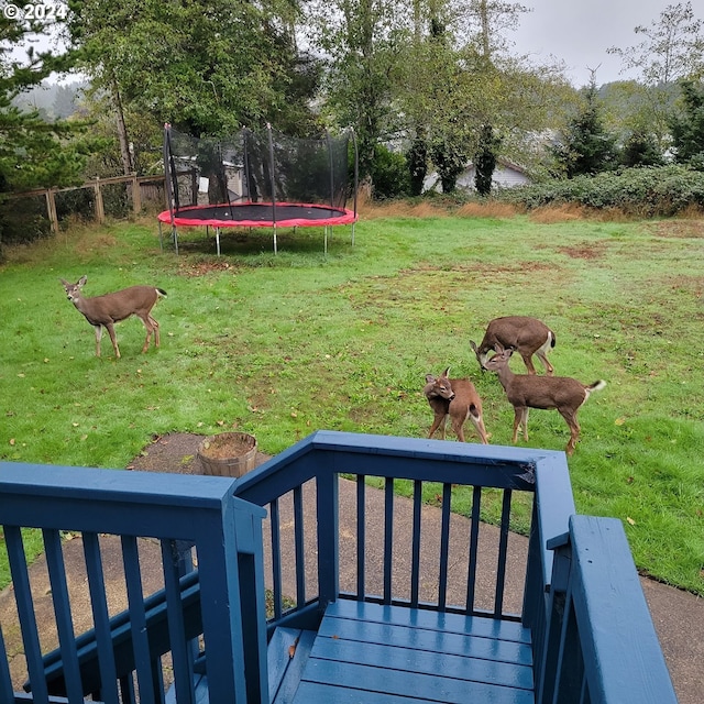 view of yard with a trampoline