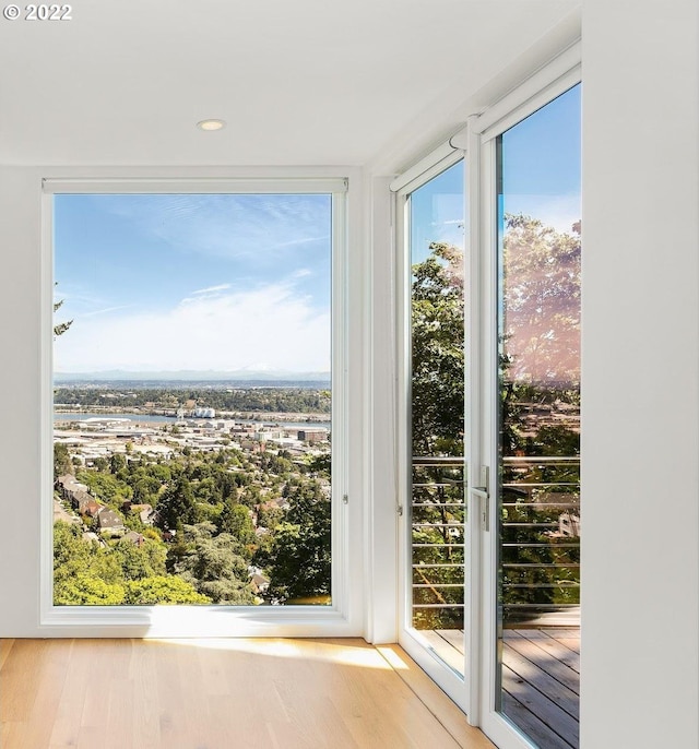 doorway to outside featuring light hardwood / wood-style flooring