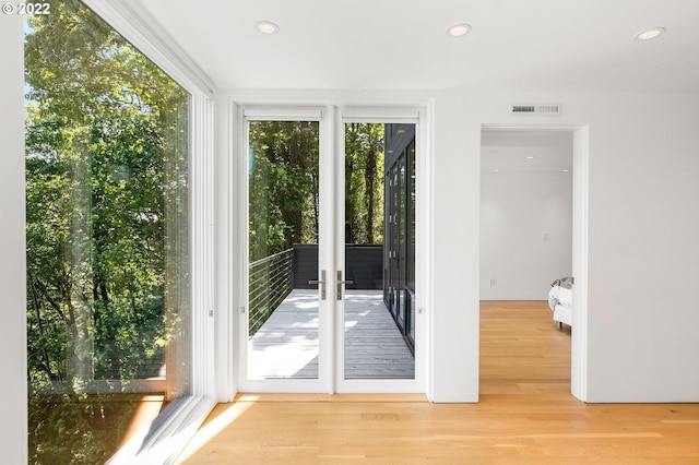 entryway featuring light wood-type flooring and a healthy amount of sunlight