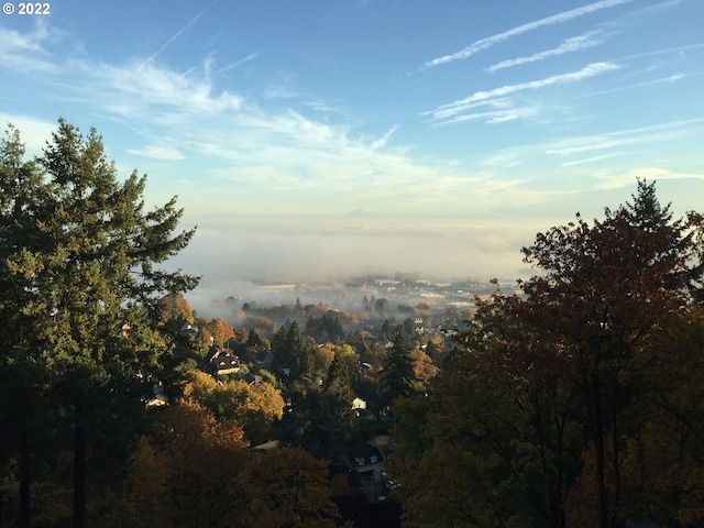 view of local wilderness