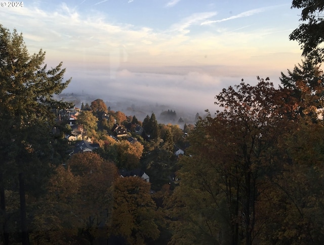 view of nature at dusk