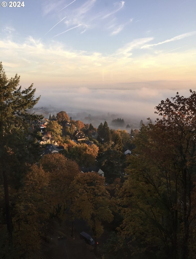 view of nature at dusk