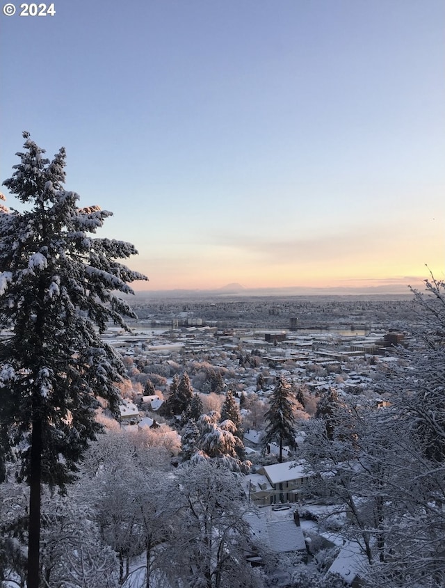 view of nature at dusk