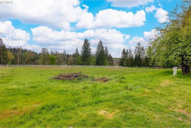 view of yard with a rural view