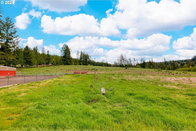 view of yard featuring a rural view