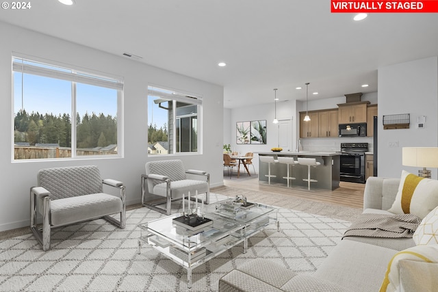 living room featuring light hardwood / wood-style floors