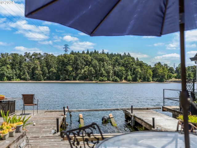 dock area featuring a water view