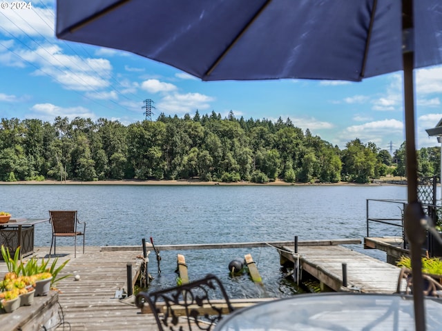 dock area with a water view