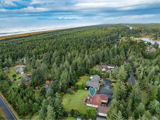 drone / aerial view with a water view and a view of the beach