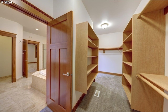 walk in closet with light carpet