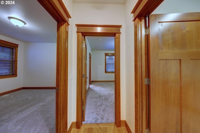 corridor with light colored carpet