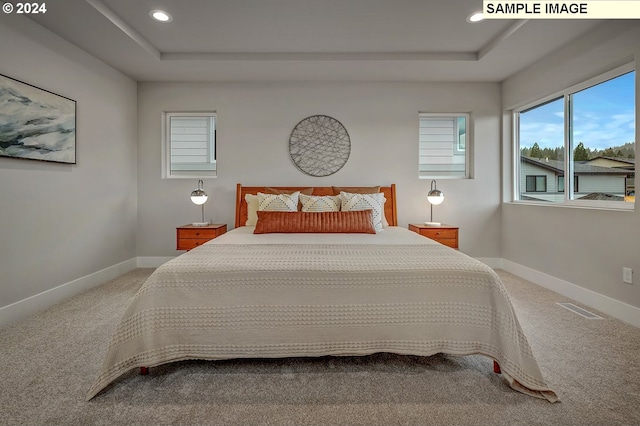 carpeted bedroom featuring a tray ceiling