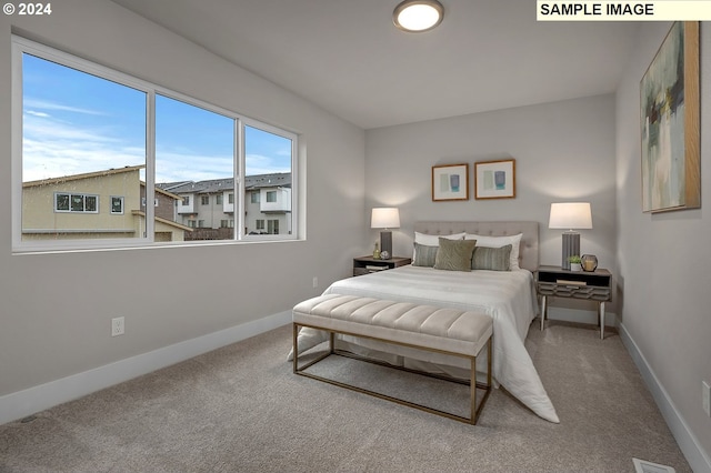 bedroom featuring carpet