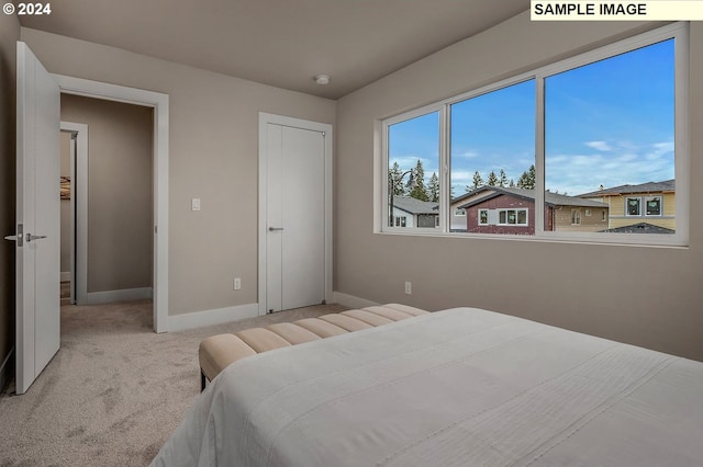 view of carpeted bedroom