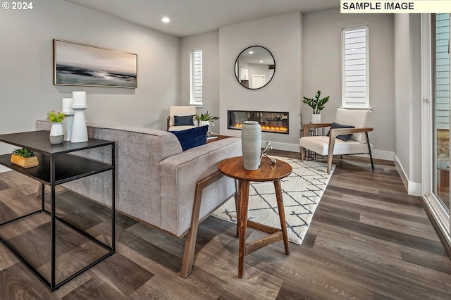 living room featuring hardwood / wood-style floors