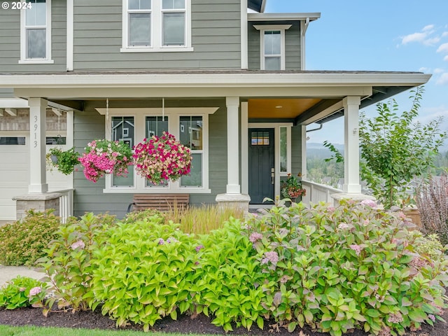 entrance to property featuring covered porch