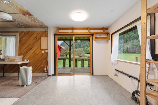 interior space featuring wood walls and plenty of natural light