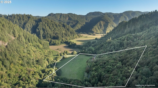 birds eye view of property featuring a mountain view