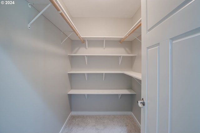 spacious closet featuring light colored carpet