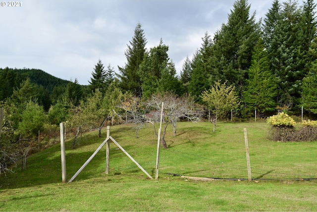 view of home's community with a rural view and a yard