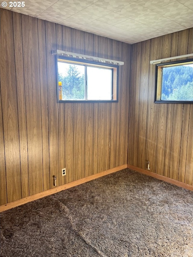 spare room with carpet floors and wood walls