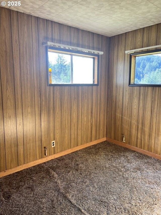 95851 Mckinnon Dr, Gold Beach, OR 97444 - unfurnished room with wood walls and carpet