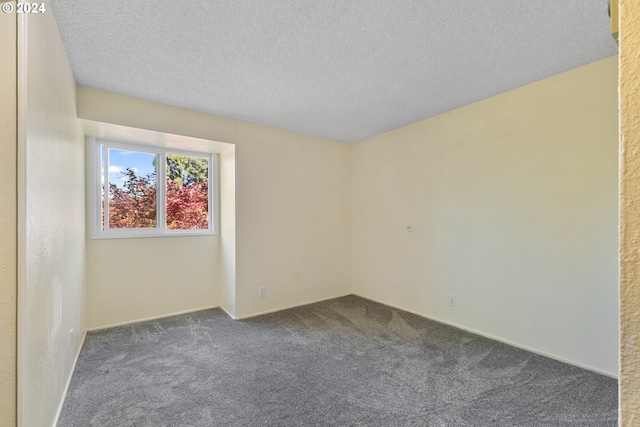 empty room featuring carpet floors and a textured ceiling