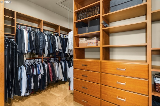 spacious closet featuring light hardwood / wood-style floors