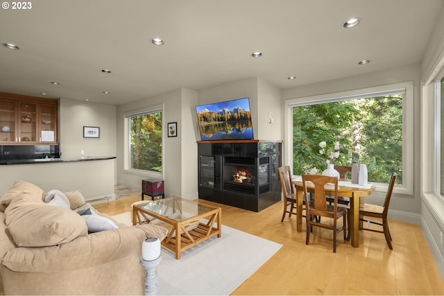 living room featuring a tiled fireplace and light hardwood / wood-style floors