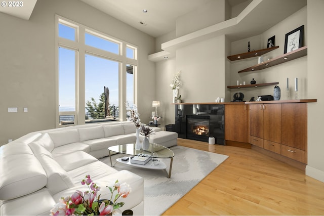 living room featuring light hardwood / wood-style flooring and a healthy amount of sunlight