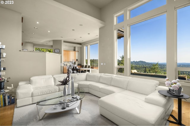 living room featuring a healthy amount of sunlight and light wood-type flooring