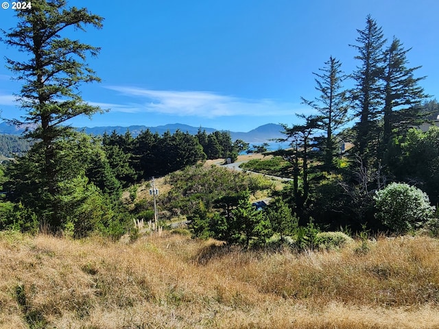 Boot Hill, Port Orford OR, 97465 land for sale