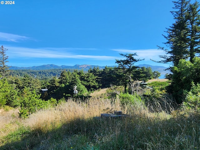 Listing photo 2 for Boot Hill, Port Orford OR 97465