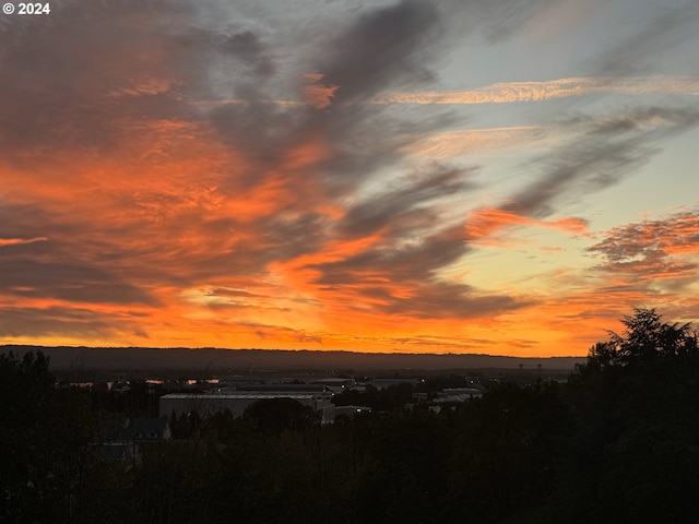 view of nature at dusk