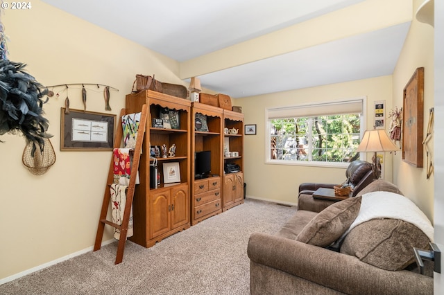 sitting room featuring carpet flooring