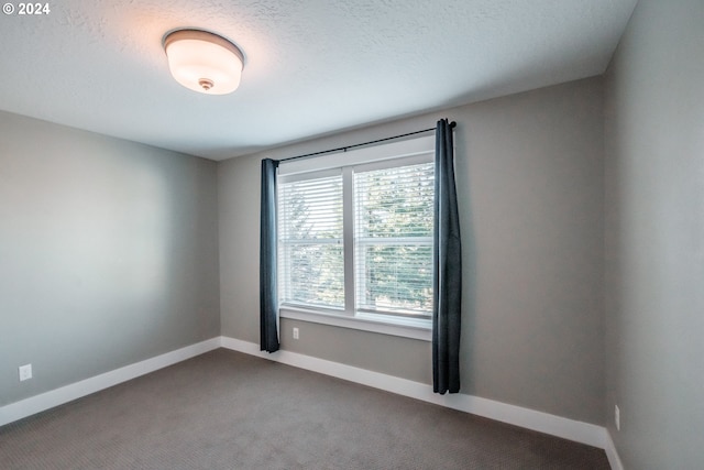 spare room with carpet floors and a textured ceiling