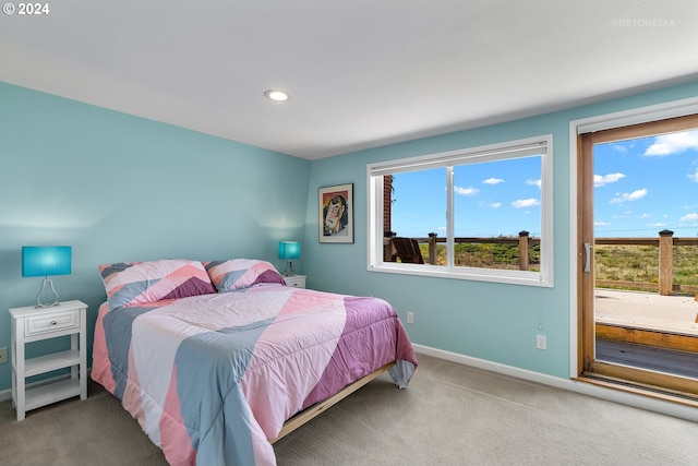 bedroom with carpet flooring