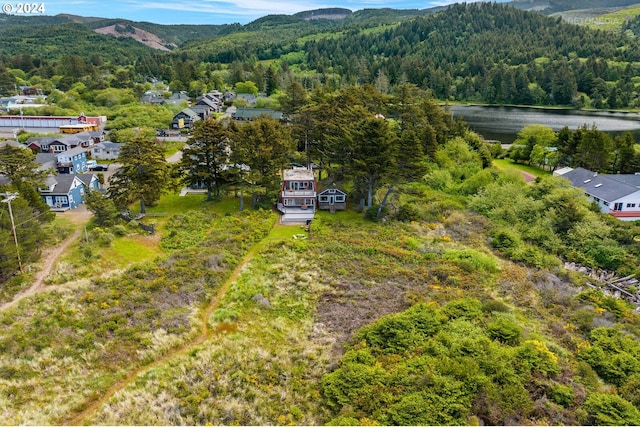 drone / aerial view with a mountain view