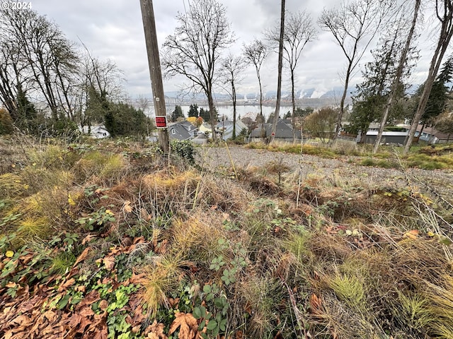 view of yard featuring a water view