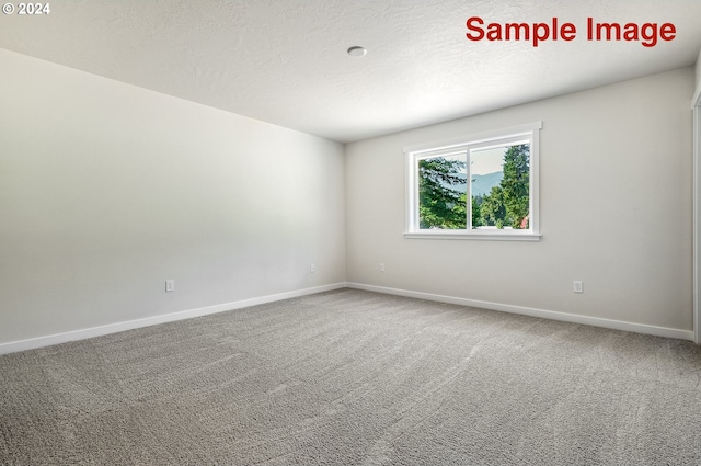 carpeted spare room with a textured ceiling