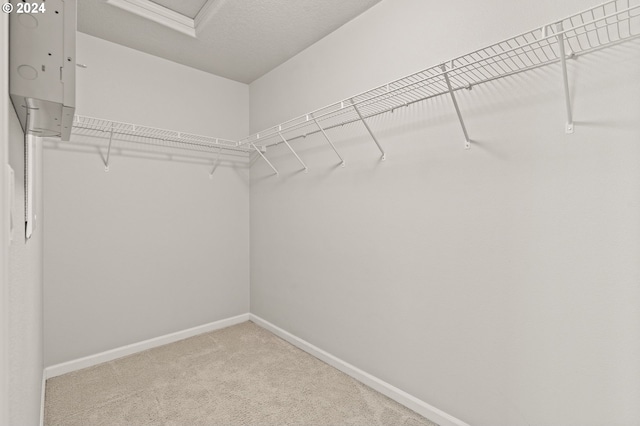 walk in closet featuring light carpet