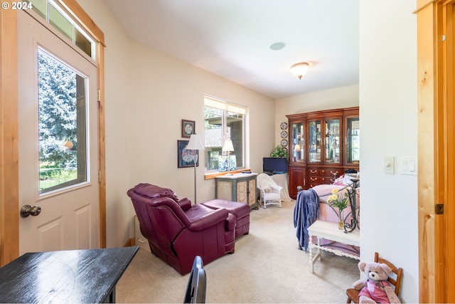 living area with carpet floors