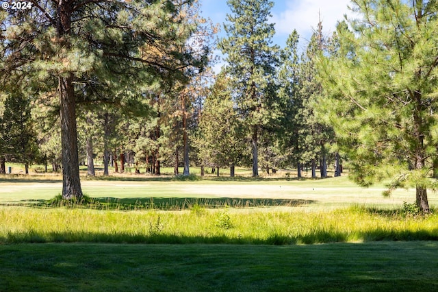 view of home's community with a lawn