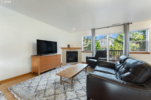 living room featuring lofted ceiling and wood-type flooring