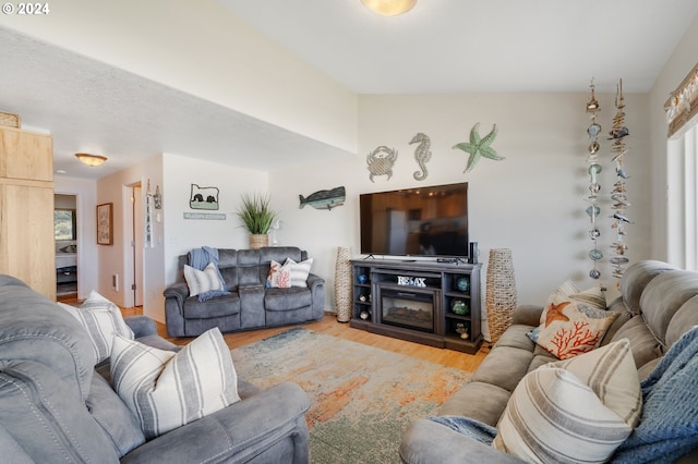 living room featuring light hardwood / wood-style floors and plenty of natural light